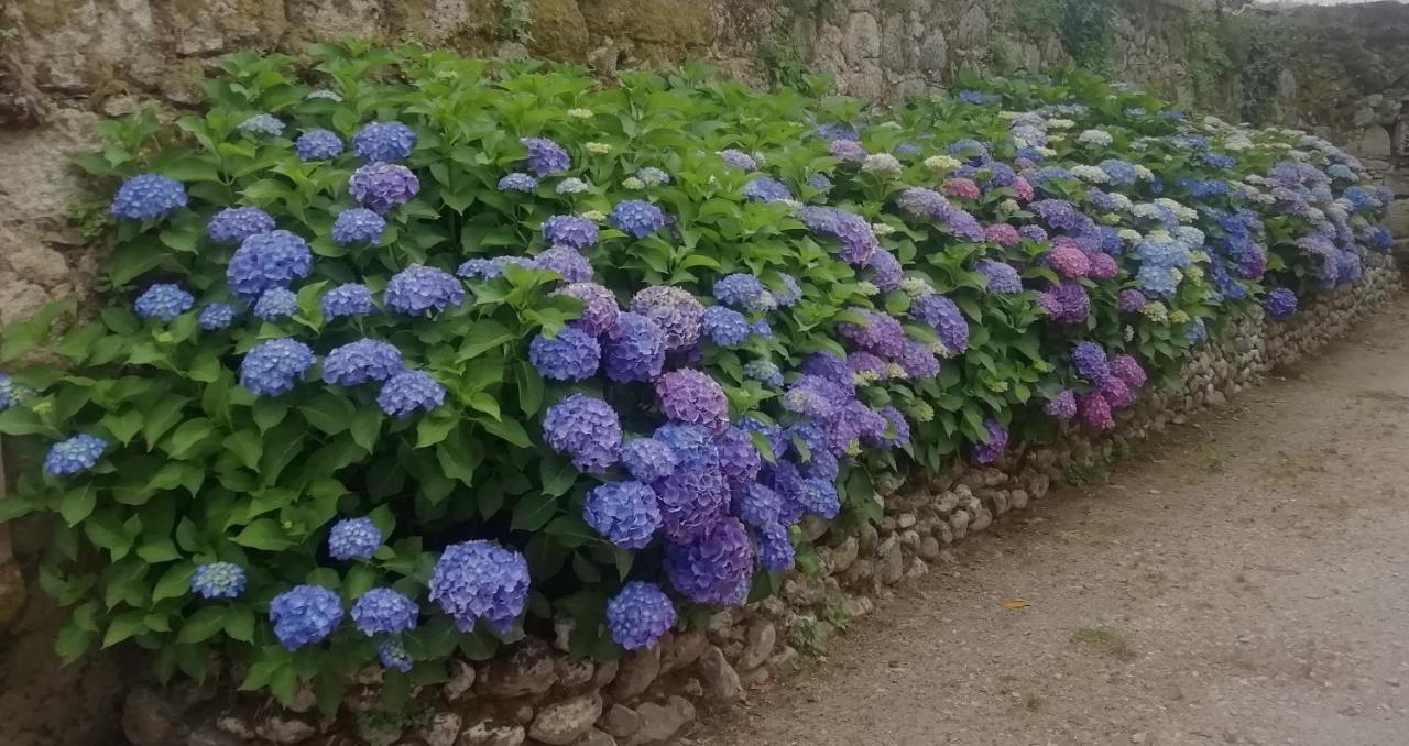 Quinta Da Tapada Villa Avo Ngoại thất bức ảnh